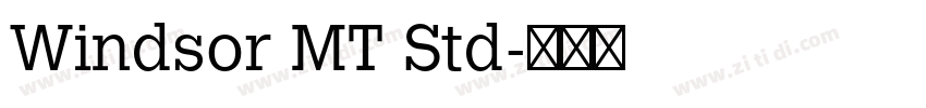 Windsor MT Std字体转换